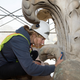 Image for article titled The Architectural Trickery Used to Disguise D.C. Monument Renovations